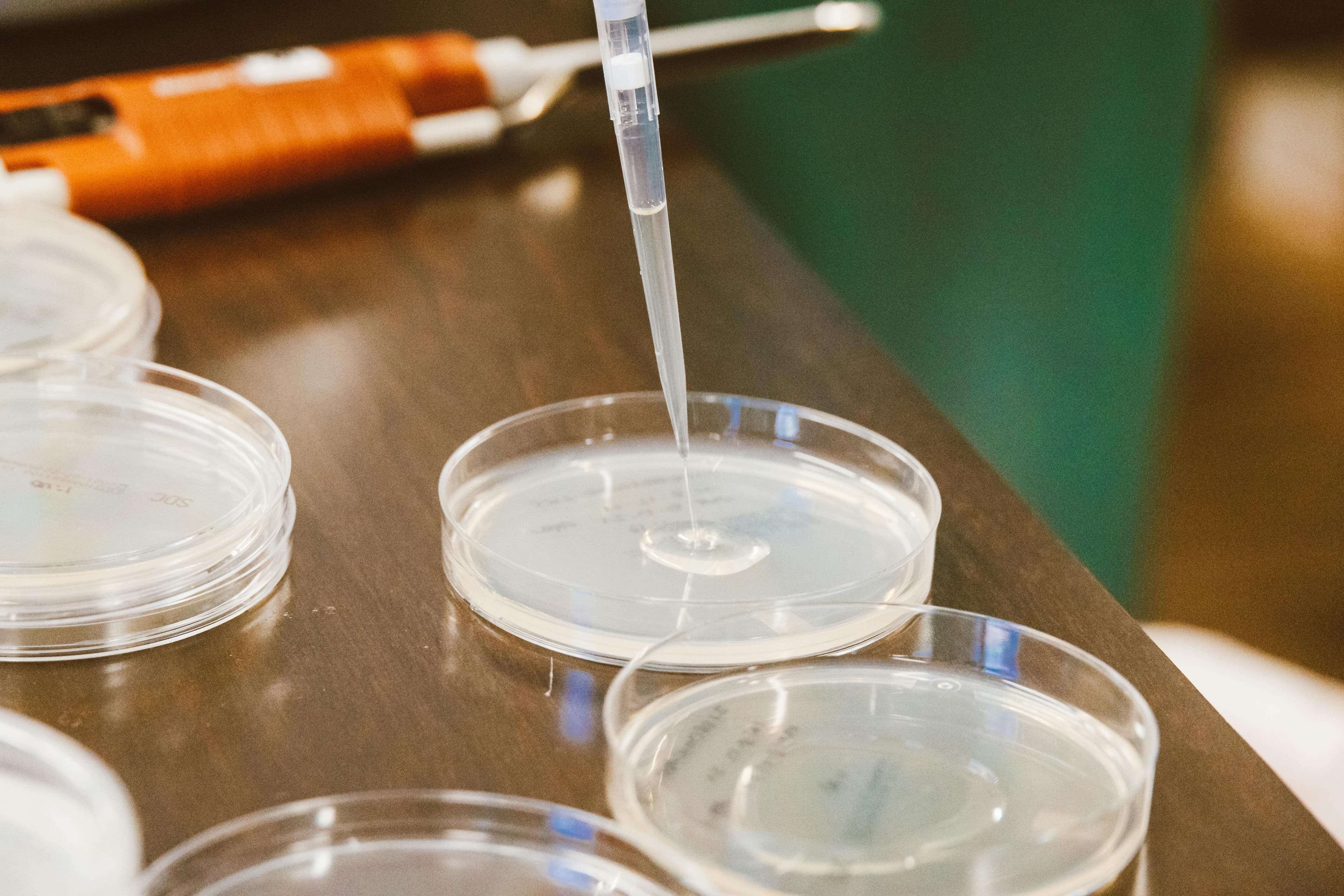 Scientific perspective and independent evaluation